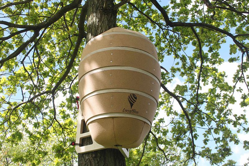 Urban Honey Bee Hives