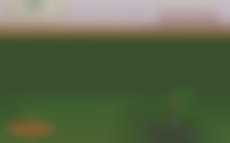 Green Burial Services