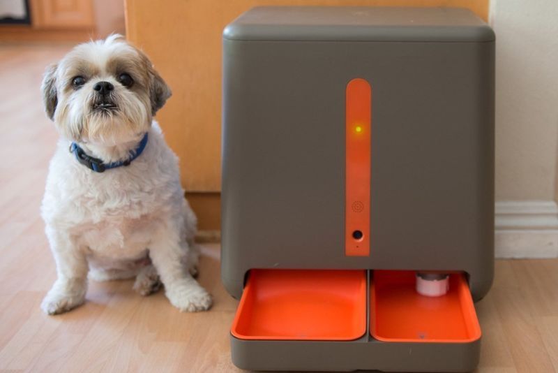 Connected Pet Feeders