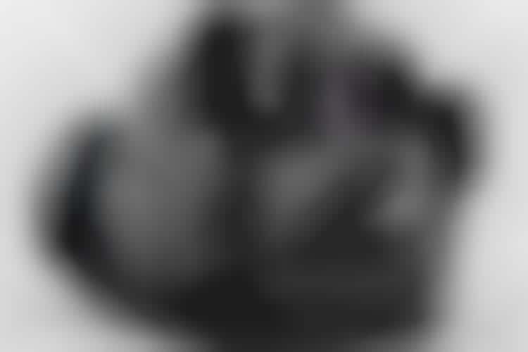 High-End Grayscale Cameras