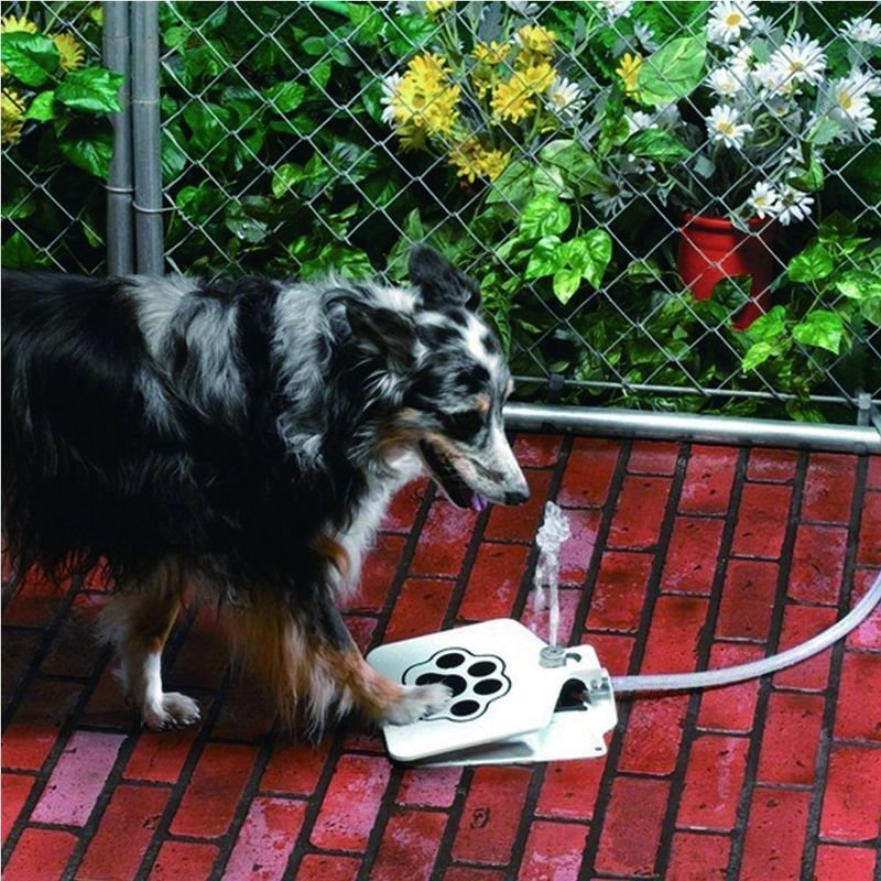 Pet-Friendly Portable Fountains