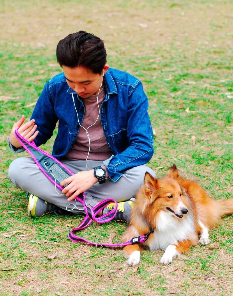 Runner-Friendly Dog Leashes