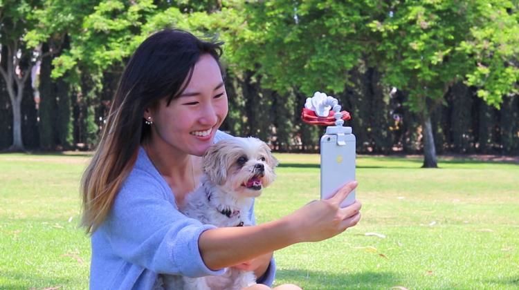 Dog-Distracting Photo Accessories