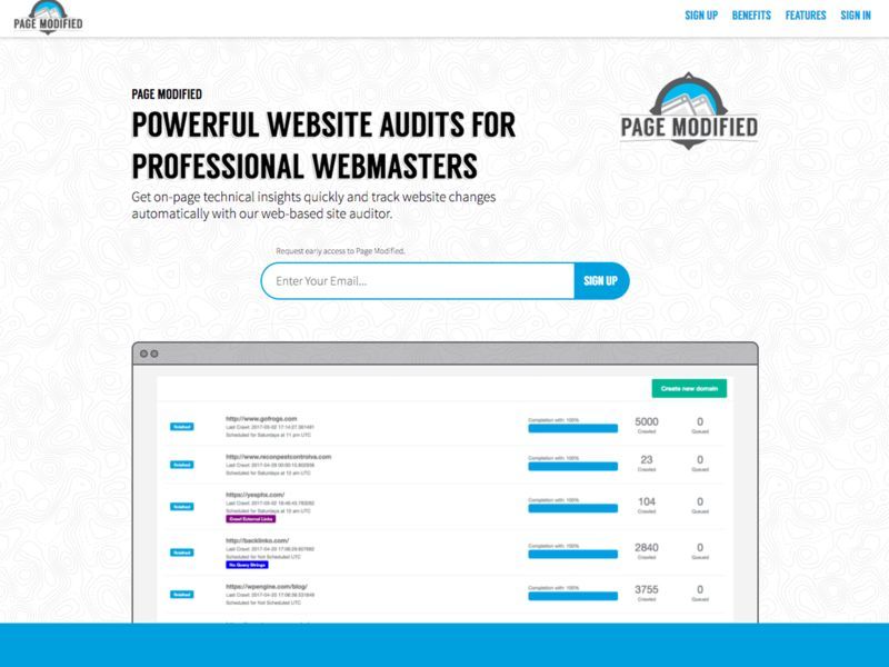 Professional Website-Auditing Solutions