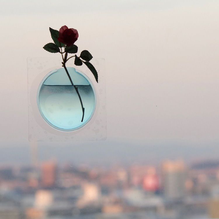 Floating Floral Window Vases