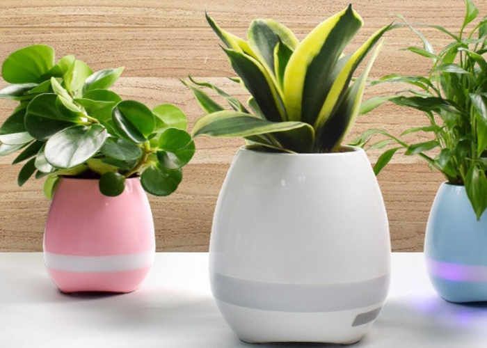 Touch-Encouraging Plant Pots