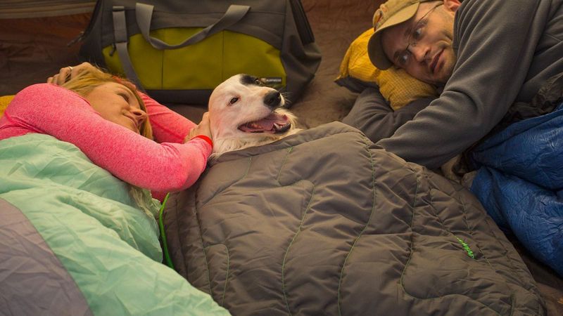 Canine Camping Equipment