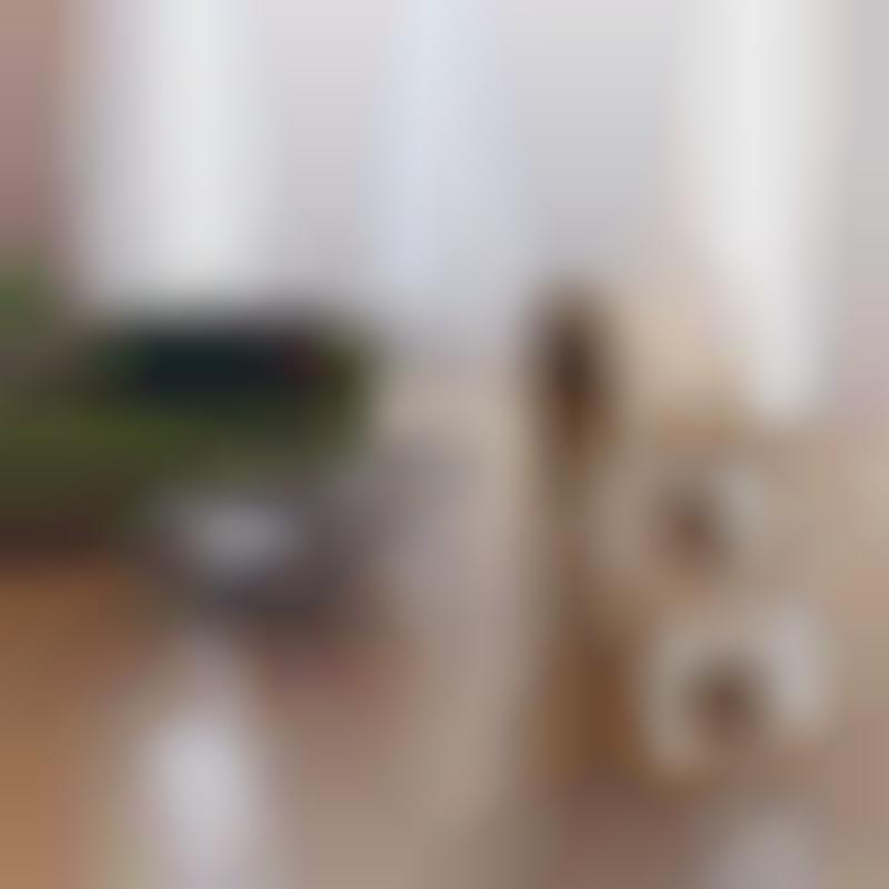 Design-Conscious Pet Furniture