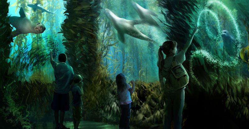 Fishless Aquarium Attractions