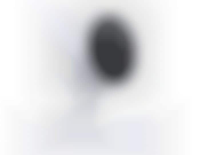 eCommerce Voice Assistant Cameras