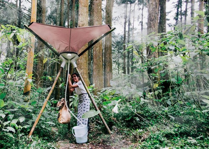 Fog-Harvesting Water Collection Systems