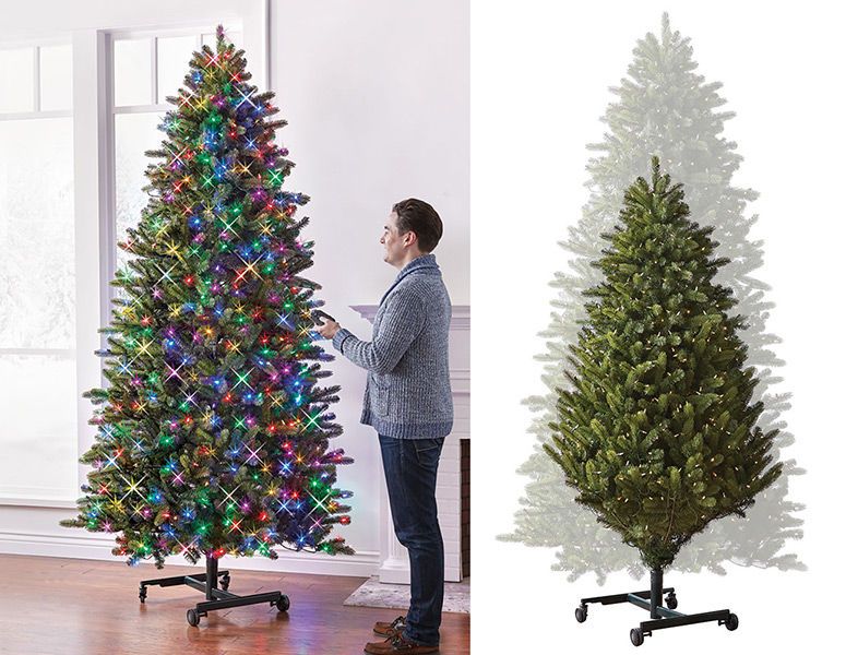 Expanding Holiday Trees