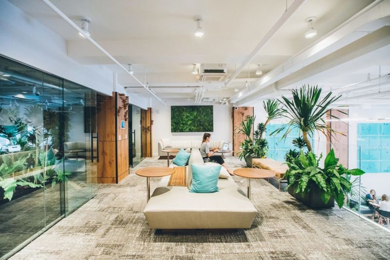 Professional Transformation Co-Working Spaces