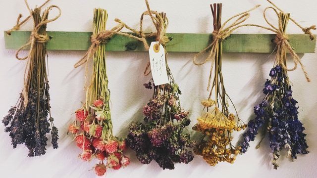 Artisanal Dried Flower Retailers