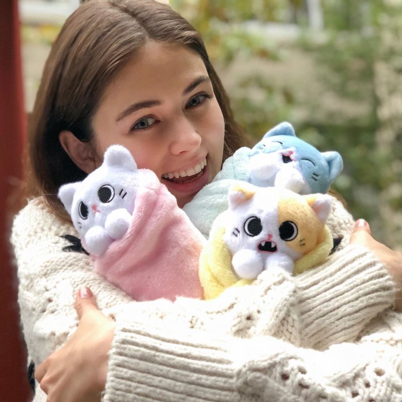 Wrapped Cat Plushies