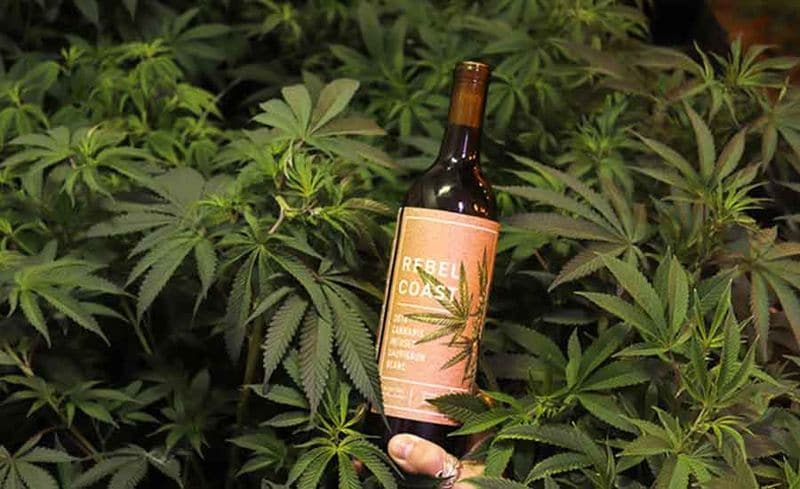 Cannabis-Infused Wines