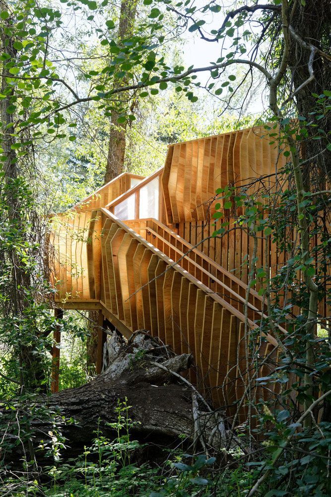 Rustic Forest Platforms