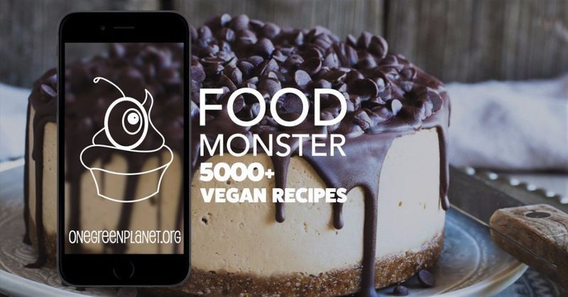 Extensive Vegan Recipe Apps