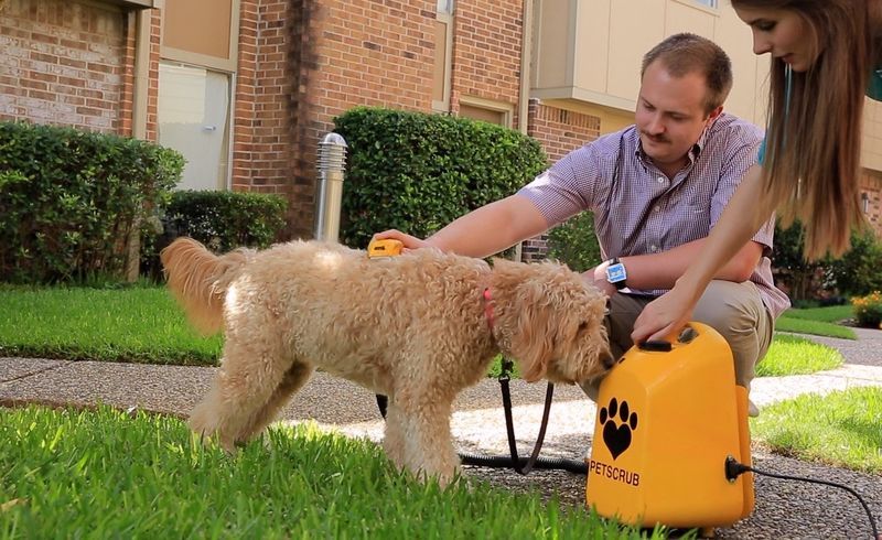 Deep-Cleansing Pet Bathers