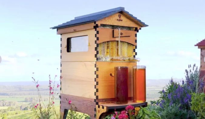 Home Beehive Kits