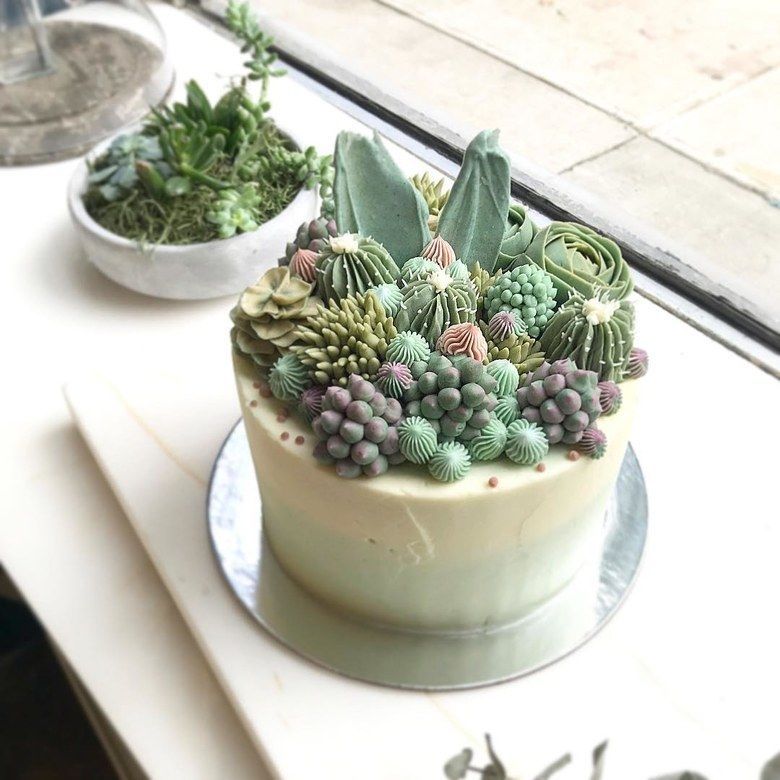 Realistic Succulent Plant Cakes