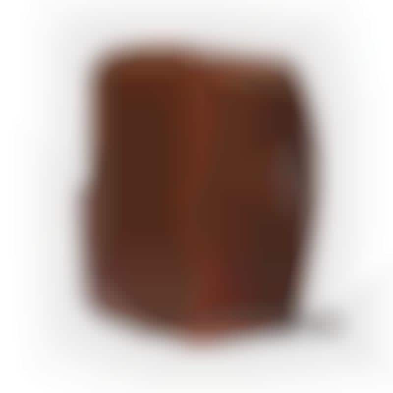 functional leather backpack