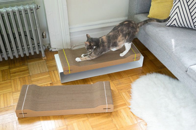 Design-Centric Cat Scratchers