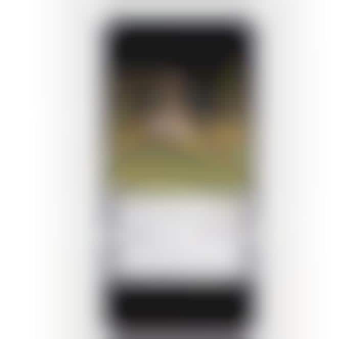Pet-Analyzing Apps