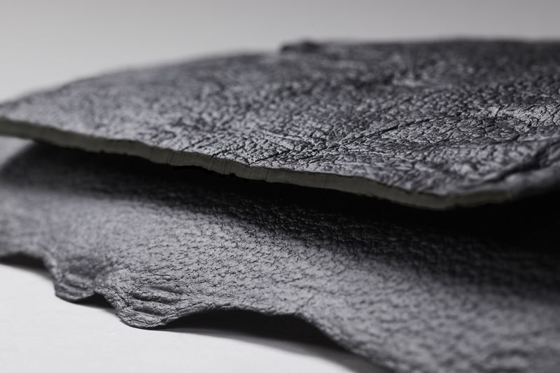 Fungus-Created Leather