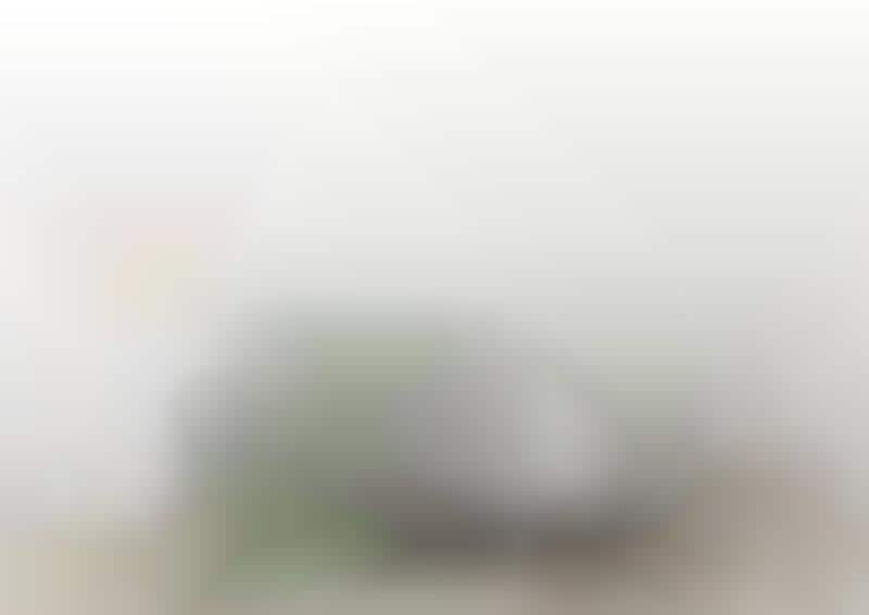 Triple-Filtration Air Purifiers
