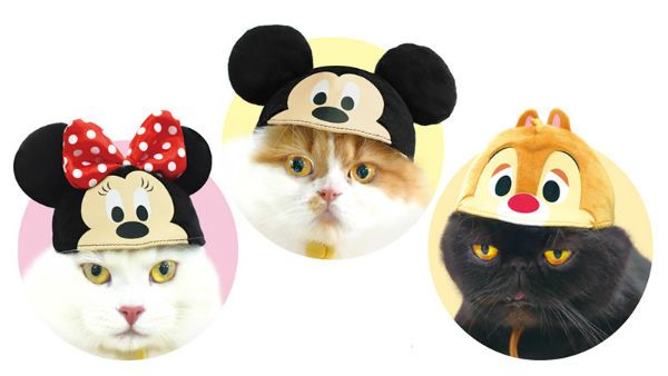 Disney-Inspired Cat Hats