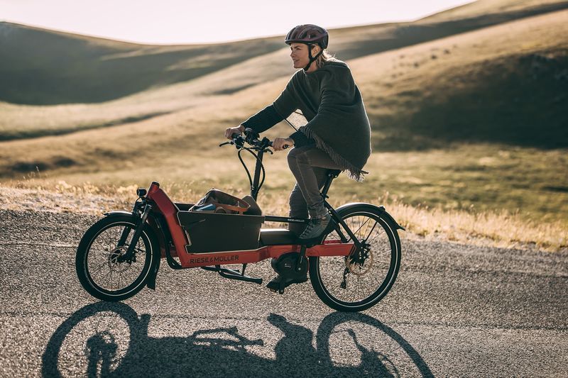 Family-Friendly E-Bikes