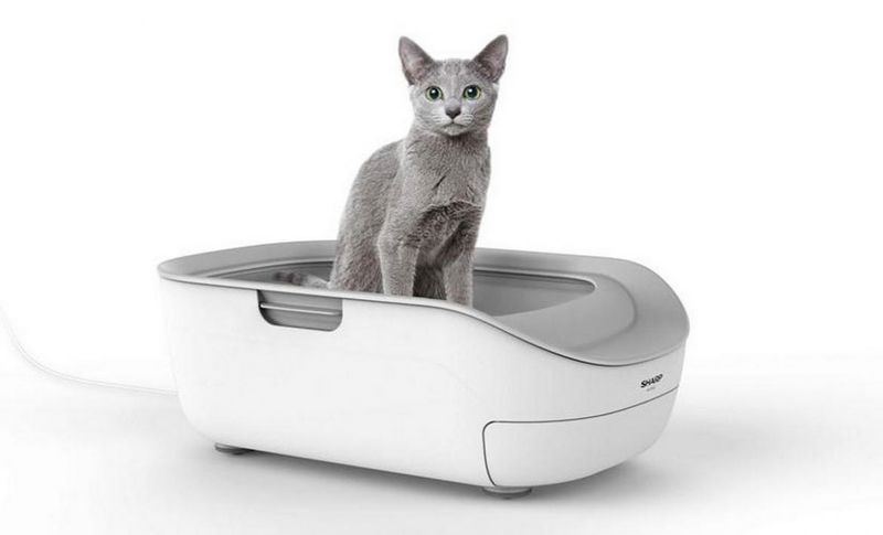 AI-Powered Litter Boxes