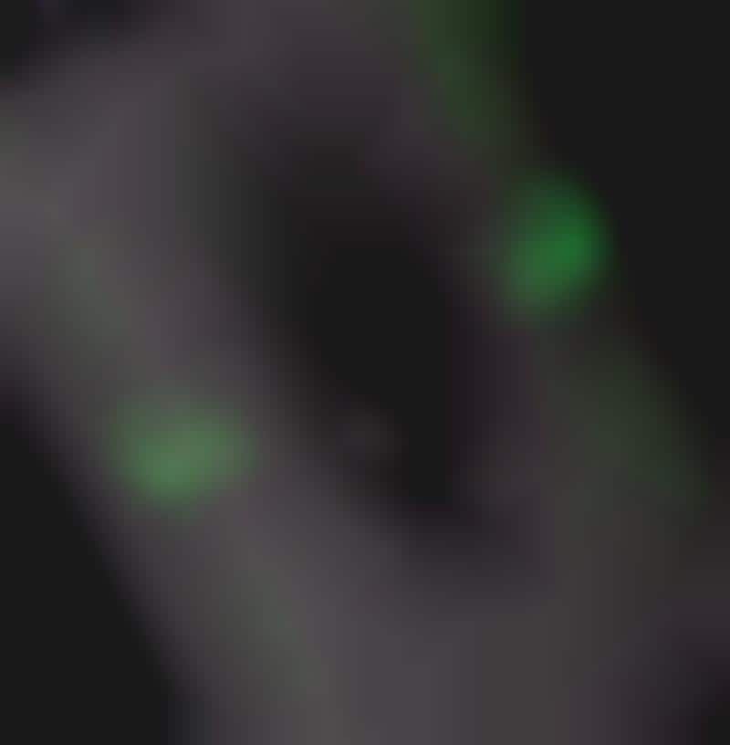 Glow-in-the-Dark Wine Labels