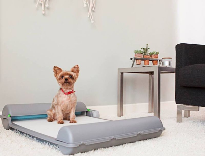 Automated Indoor Canine Toilets