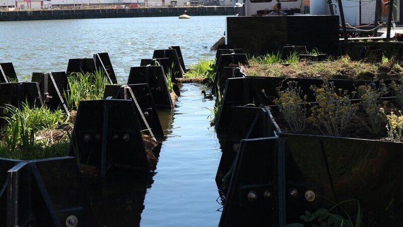 Eco-Friendly Floating Parks Main Gallery Image