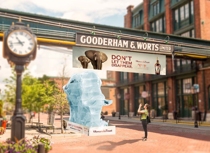 Charitable Elephant Ice Sculptures