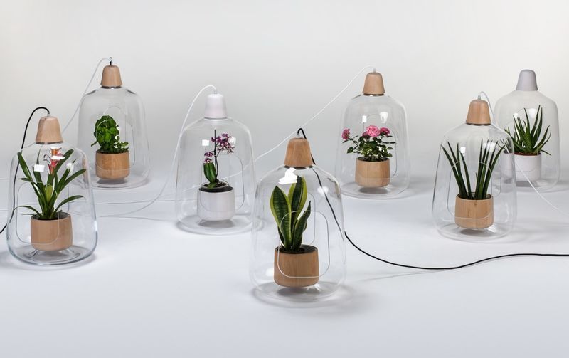 Plant-Integrated Hanging Lights