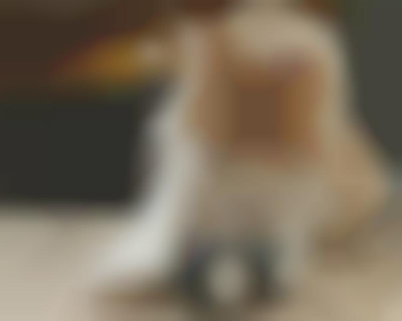 AI-Powered Cat Toys : Petronics Mousr