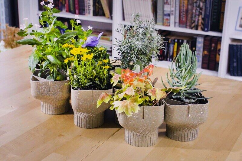 Food Waste Flower Pots