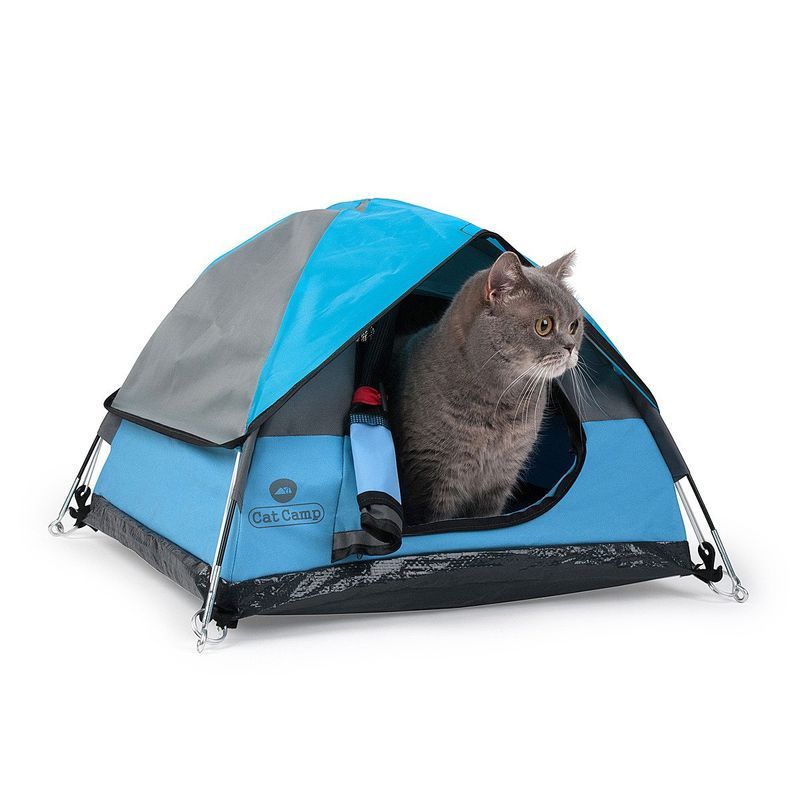 Miniature Feline-Friendly Tents