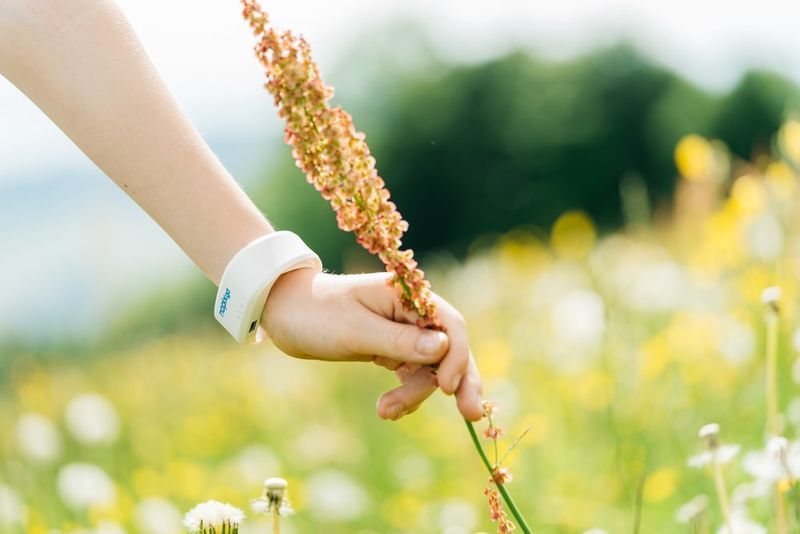 Mosquito-Repelling Wristbands