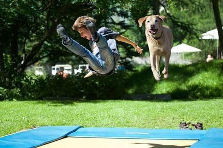 Playful Canine Trampoline Parks