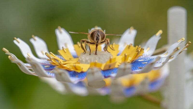 Bee-Sustaining Artificial Flowers