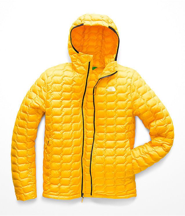 Insulated Eco-Conscious Jackets