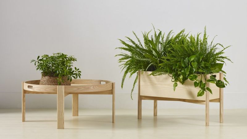 Wellbeing-Focused Furniture Lines