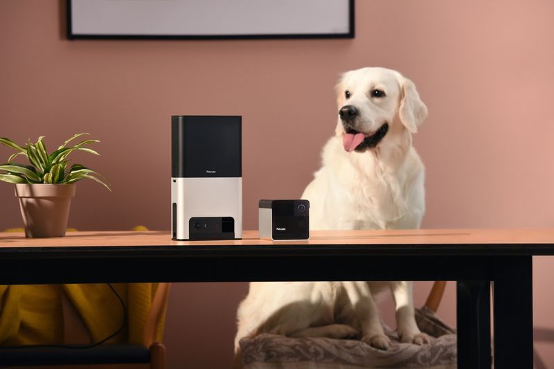 Connected Pet Cameras