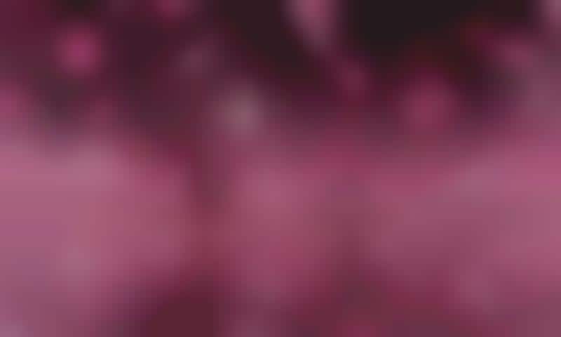 Responsive Cherry Blossom Installations