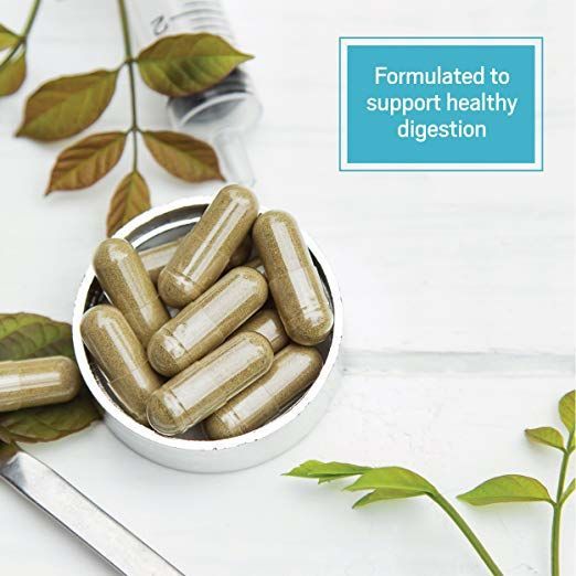 Wellness-Focused Organic Probiotic Supplements