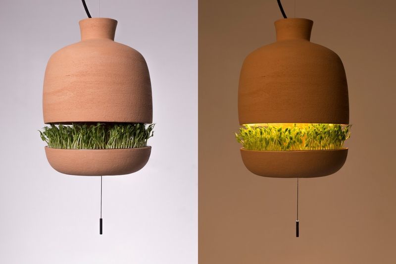 Greenery-Growing Hanging Lights